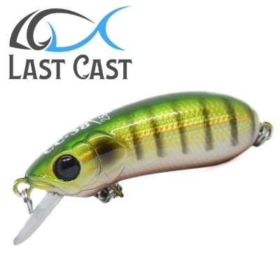 Last Cast CC38 #18