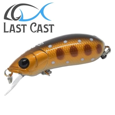 Last Cast CC38 #19