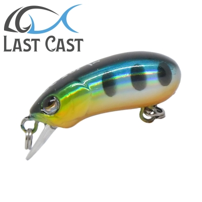Last Cast CC28 F #06