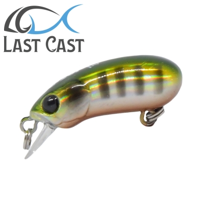Last Cast CC28 F #18