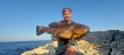 Господарят на скалата