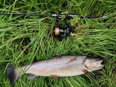 Риболов на пъстърва