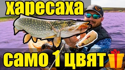 Капризни щуки атакуват само на един цвят.Риболов на щука в силен вятър