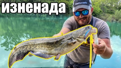 Отровни змии!!бракониери??Риболов на бяла риба на язовир Жребчево