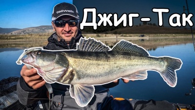 Риболов на бели риби и костури на язовир Стойковци/Логодаж