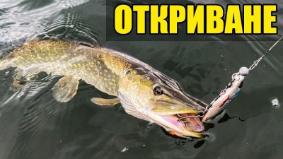 Първи щукарски риболов за 2021 година.Откриване!