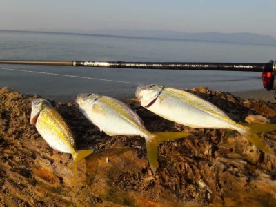 С ултралайт по гръцките плажове