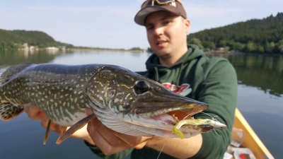 Пеещата макара