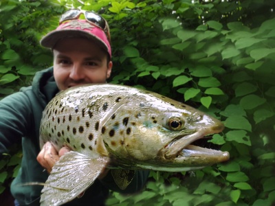 Щастие на точки 50+