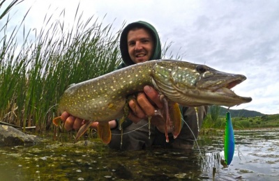 Крадец на ''конец''