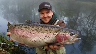 АМЕРИКАНСКИ ПРИШЪЛЕЦ