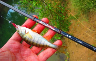 Tailwalk SALTYSHAPE DASH AJI - микроджиг с плътен връх - 71/SL