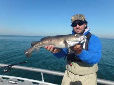 Риболов в Холандия на лавраци и трески!