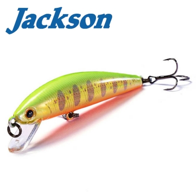 Jackson Trout Tune HW 55SS GYM