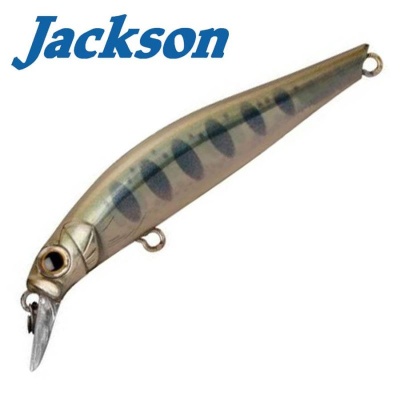 Jackson Artist FR80 LYM