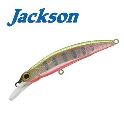 Jackson Shizuku 62V MYA
