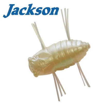 Jackson Mushiiiin 1.25in IMW