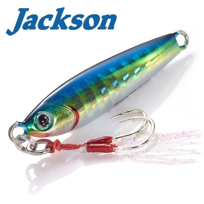 Jackson Gallop  Assist Long Cast 10g LKK