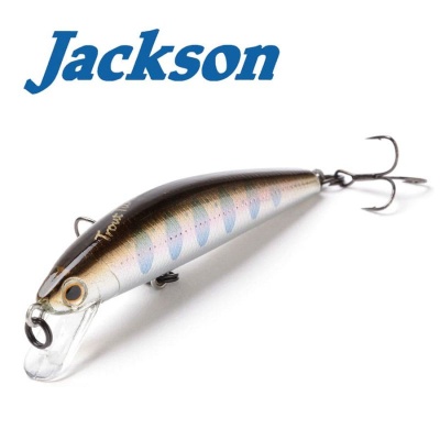 Jackson Trout Tune 55S RY2