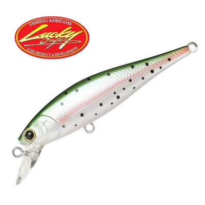Lucky Craft Pointer 65 SP Rainbow Trout