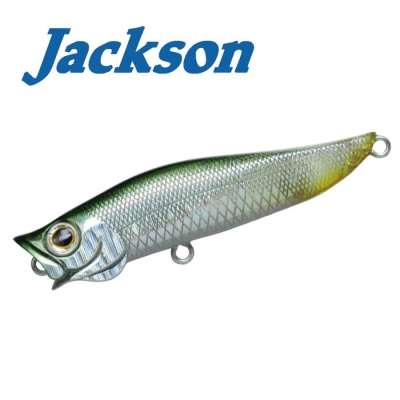 Jackson R.A. POP 70 SSS