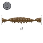 Libra Larva Multi 12.5cm Силиконова примамка ларва