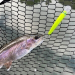 T.H. Tackle | Tailwalk Silverna Taki Nyoro 60mm Воблер