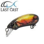 Last Cast CC28 F #33