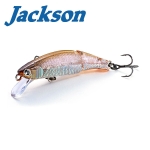 Jackson Meteora Joint 49 YGWA