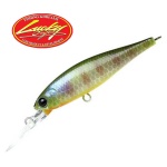 Lucky Craft Pointer 48 DD BE Gill