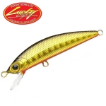 Lucky Craft Humpback Minnow 50SP - BGR - Black & Gold & Red