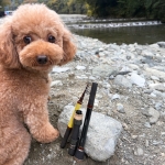 Tailwalk Outback Puppy Травъл спининг въдица