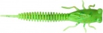 Fanatik X-Larva 2.0