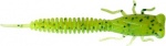 Fanatik X-Larva 2.0