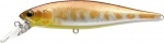 Lucky Craft Pointer 100 Salt Water