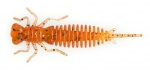 Fanatik Larva