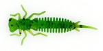 Fanatik Larva