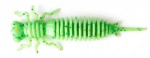 Fanatik Larva