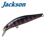 Jackson Artist FR55 SMY