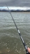 Прикачено изображение от потребител 1 за Shimano Lunamis Spinning Спининг въдица.