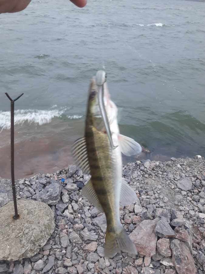 Fishing Zone Silikonov Ribolov