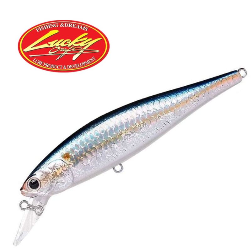 Lucky Craft Pointer 100 SP MS American Shad