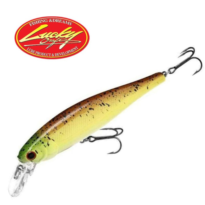Lucky Craft Pointer 100 SP Pineapple Shad