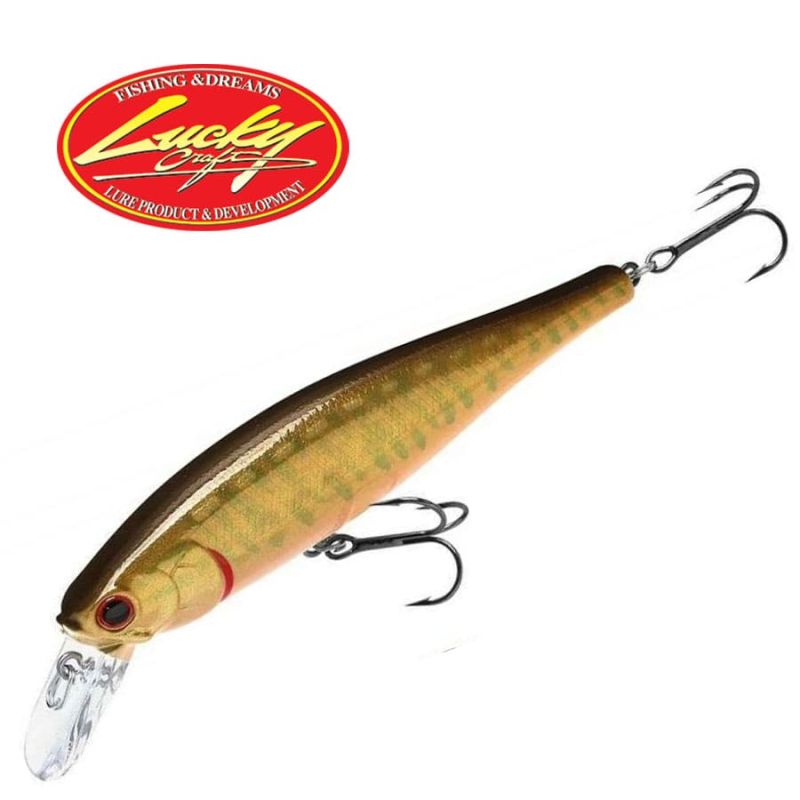Lucky Craft Pointer 100 SP Red Musky