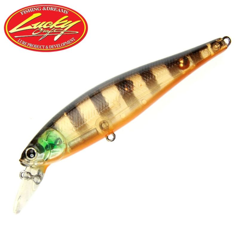 Lucky Craft Pointer 78 SP Ghost Black and Gold