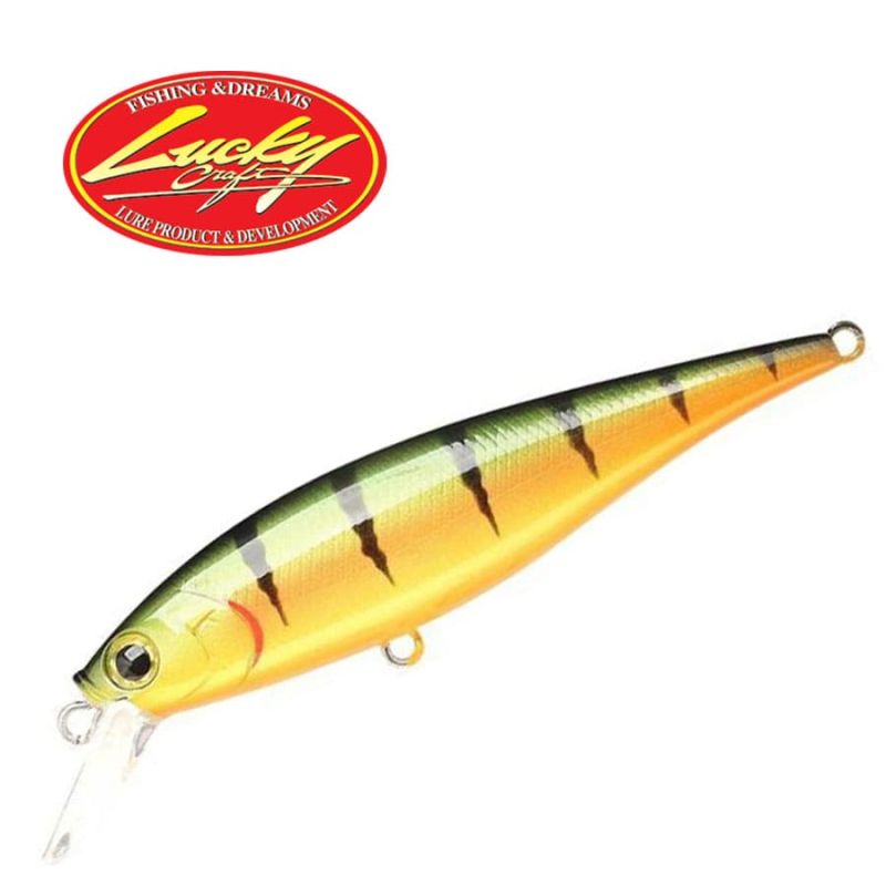 Lucky Craft Pointer 78 SP Northern Yellow Perch