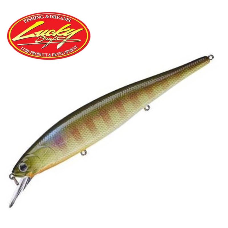 Lucky Craft Pointer 128 SP BE Gill