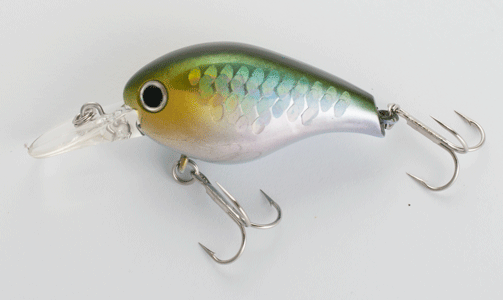 Lucky Craft Clutch MR MS Japan Shad
