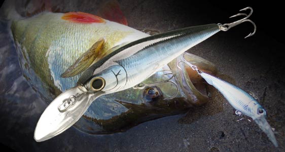 Lucky Craft Bevy Shad 75 SP Воблер 