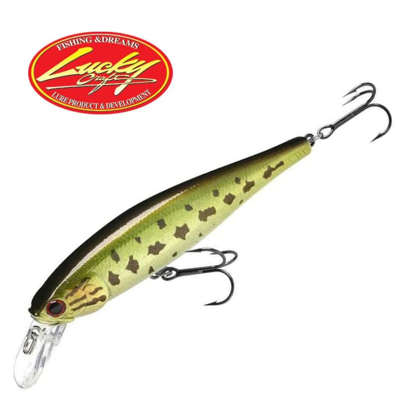 Lucky Craft Pointer 100 SP Northern Large Mouth Bass
